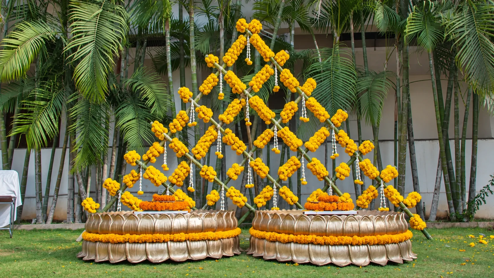 Yellow marigold haldi seating in a green garden